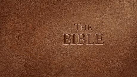 The Bible Game