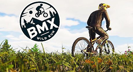 BMX Wild Run Game
