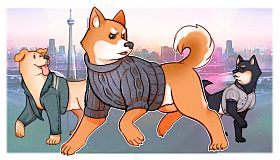 A Summer with the Shiba Inu