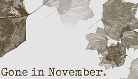 Gone In November Collector's Edition Content