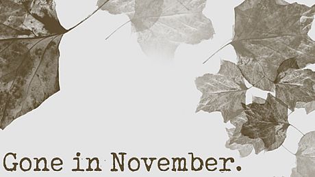 Gone In November Collector's Edition Content