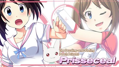 Prisseceal, the Dazzling-and-Flaring Peach Princess - Additional All-Ages Story & Graphics DLC DLC