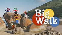 Buy Big Walk PC