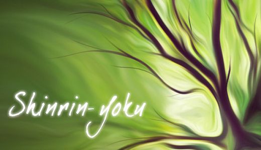 Shinrin-yoku: Forest Meditation and Relaxation