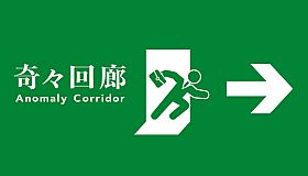Anomaly Corridor