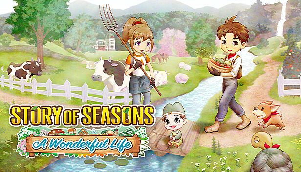 Buy STORY OF SEASONS: A Wonderful Life