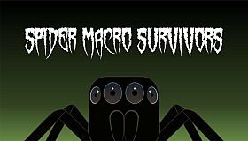 Spider Macro Survivors