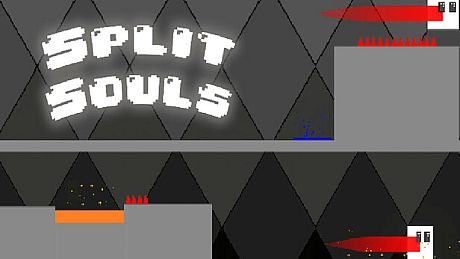 Split Souls Game