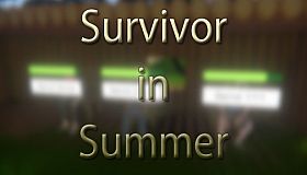 Survivor in Summer