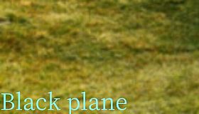 Black plane