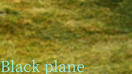 Black plane Game