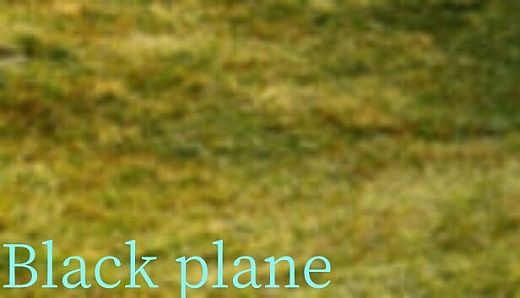 Black plane