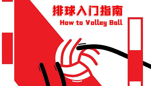 Buy 排球入门指南