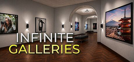 Infinite Galleries Game