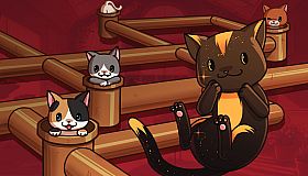 Cat Pipes