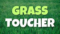 Acheter Grass Toucher PC
