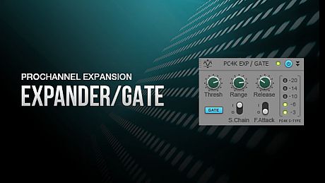 ProChannel S-Type Expander/Gate DLC
