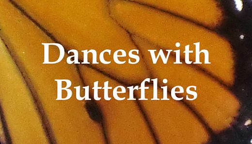 Dances with Butterflies VR