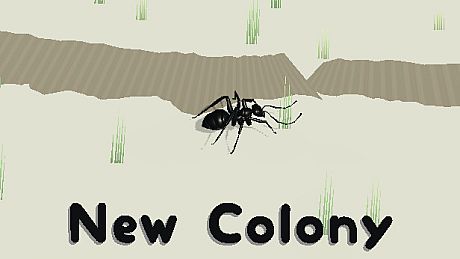 New Colony Game