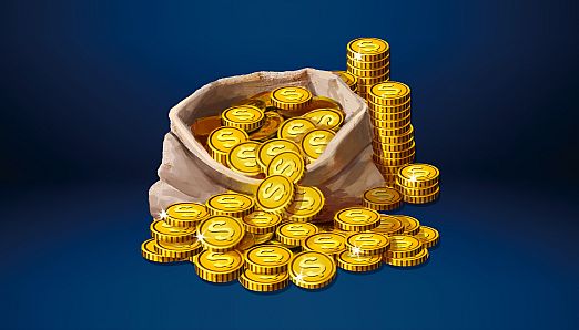 Bag of coins [True Reporter]