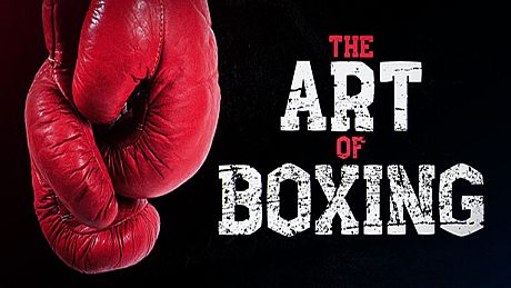Art of Boxing Game