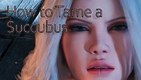 How to Tame a Succubus