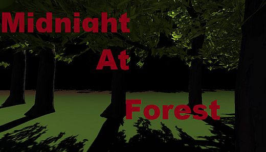 Midnight at Forest