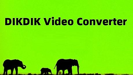 DIKDIK Video Converter Game
