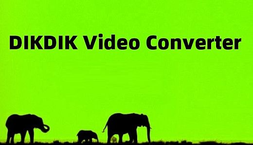 DIKDIK Video Converter
