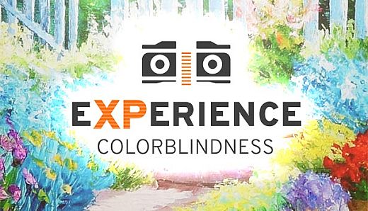 Experience: Colorblindness