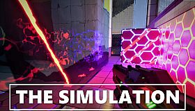 The Simulation