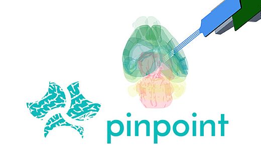 Pinpoint