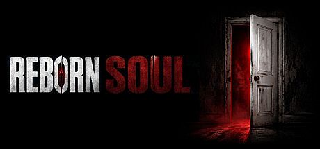 Reborn Soul Game