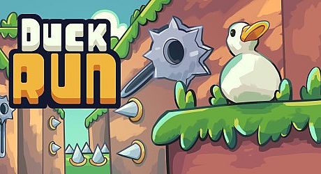Duck Run Game