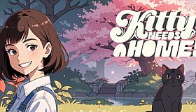 Kitty Needs A Home!
