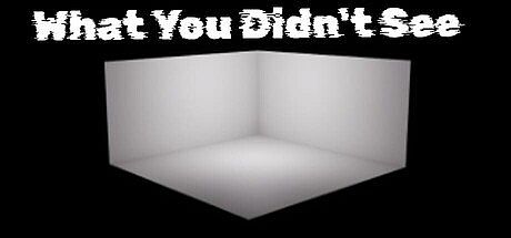 What You Didn't See