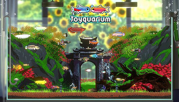 Buy Joyquarium