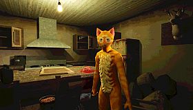 Cat Named Mojave
