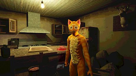 Cat Named Mojave Game