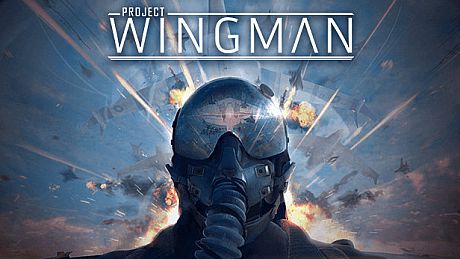 Project Wingman Game