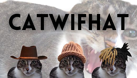 Catwifhat