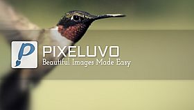 Pixeluvo