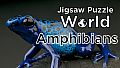 Jigsaw Puzzle World - Amphibians