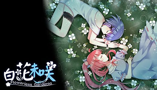 Flowerless Gardenia 白花未咲