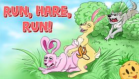 RUN HARE RUN