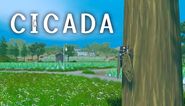 Buy CICADA