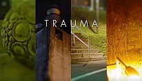 Comprar Trauma para PC