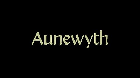Aunewyth Game