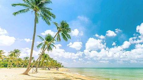 First Time In Hawaii Collector's Edition Game