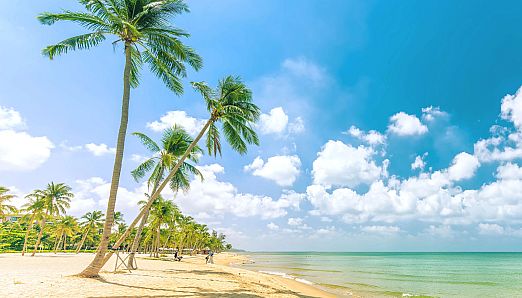 First Time In Hawaii Collector's Edition